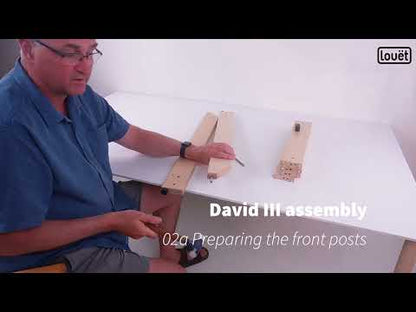 Louet David III loom